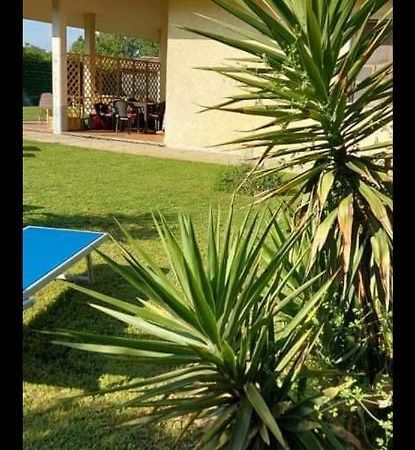 Green Garden Viareggio Exterior foto